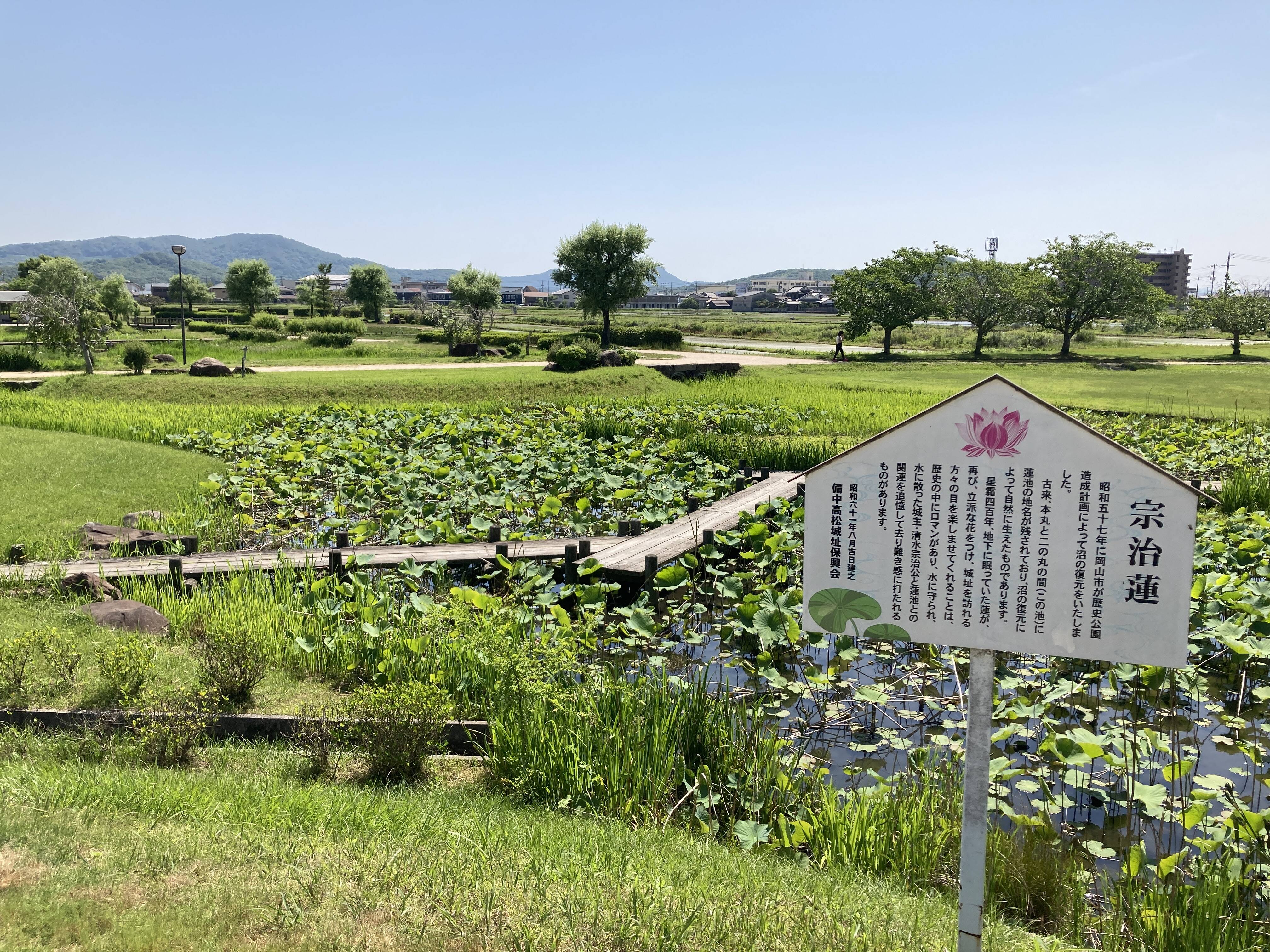宗治蓮 (2).JPG