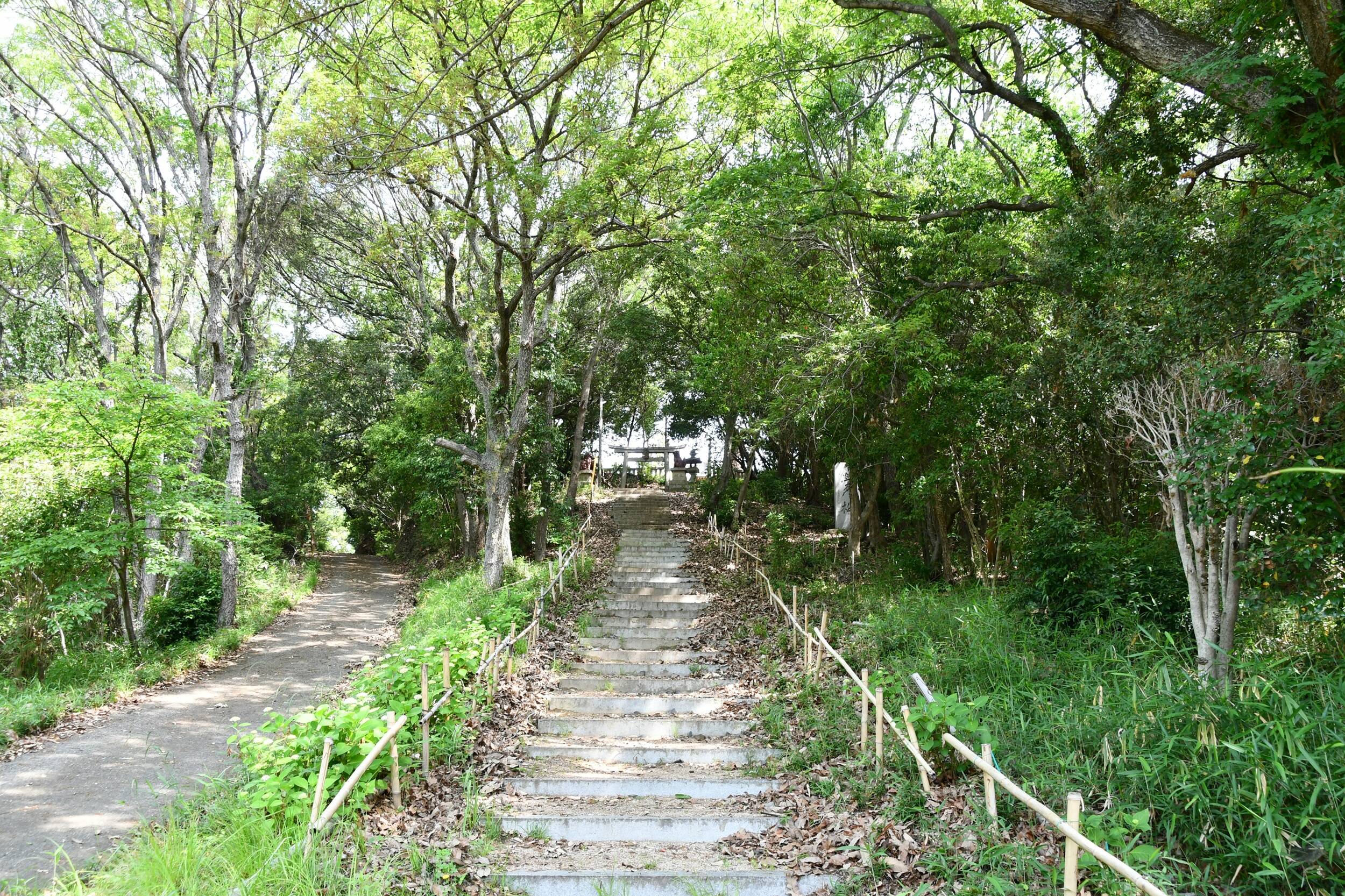 八幡宮アプローチ.JPG