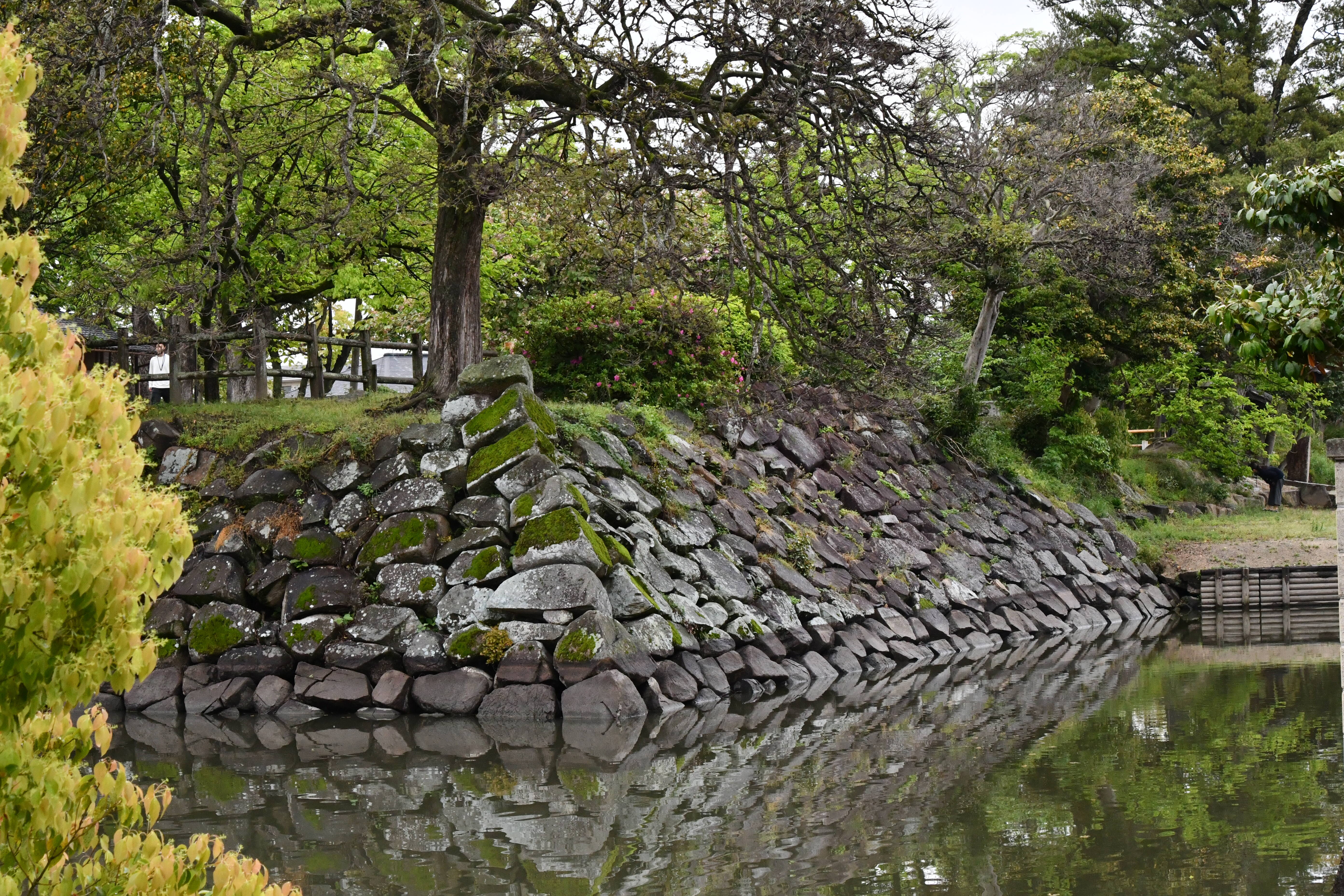 石垣 (3).JPG