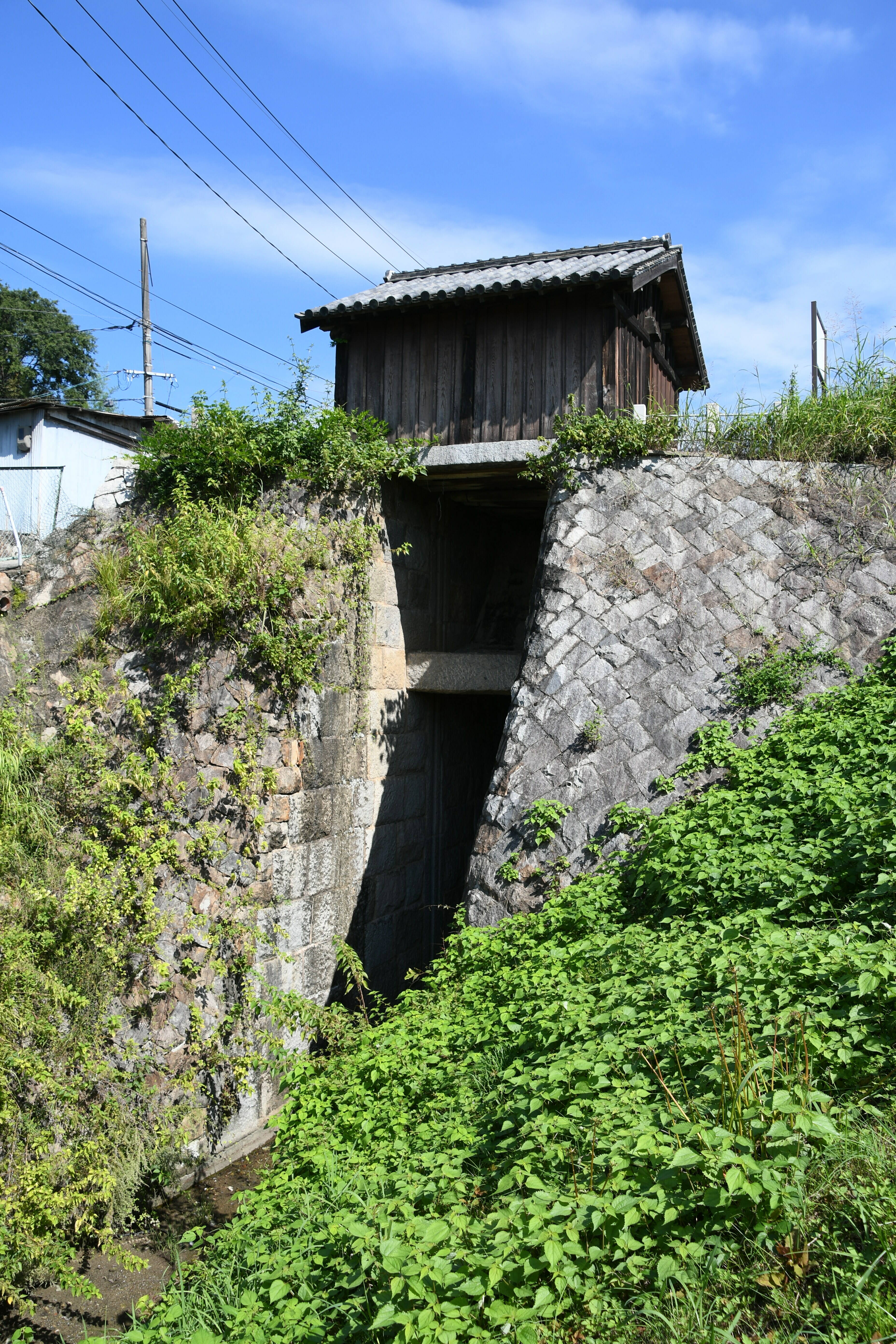DSC_2164.JPG