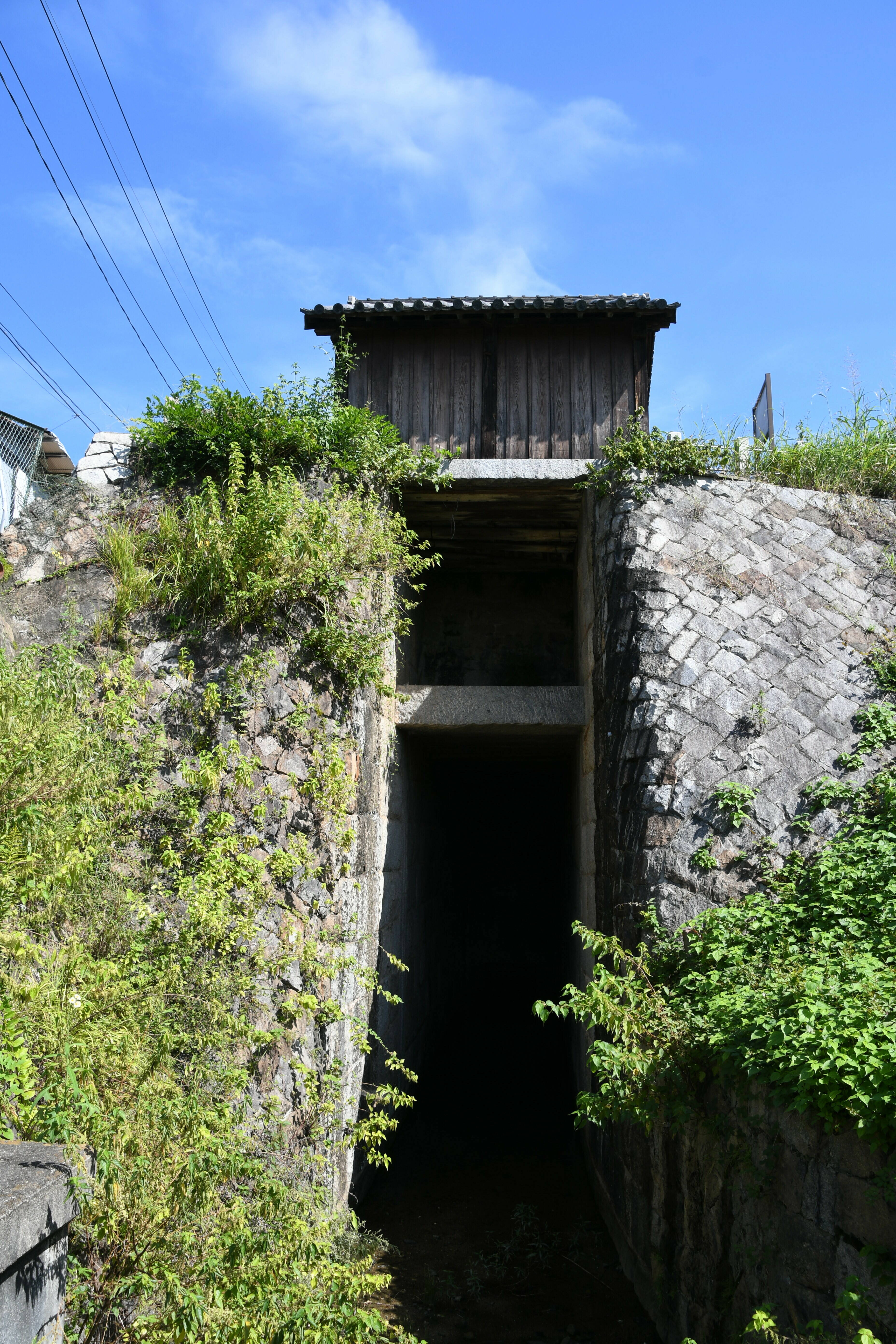 DSC_2193.JPG