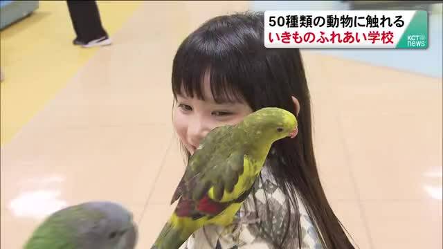 放送バナー画像