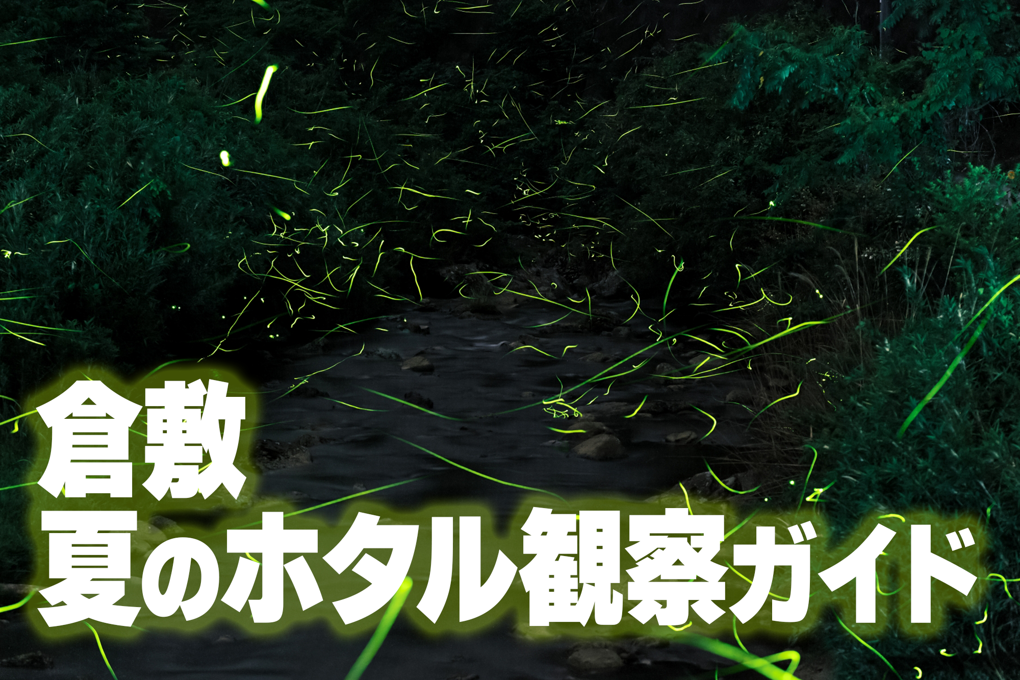 thum.png