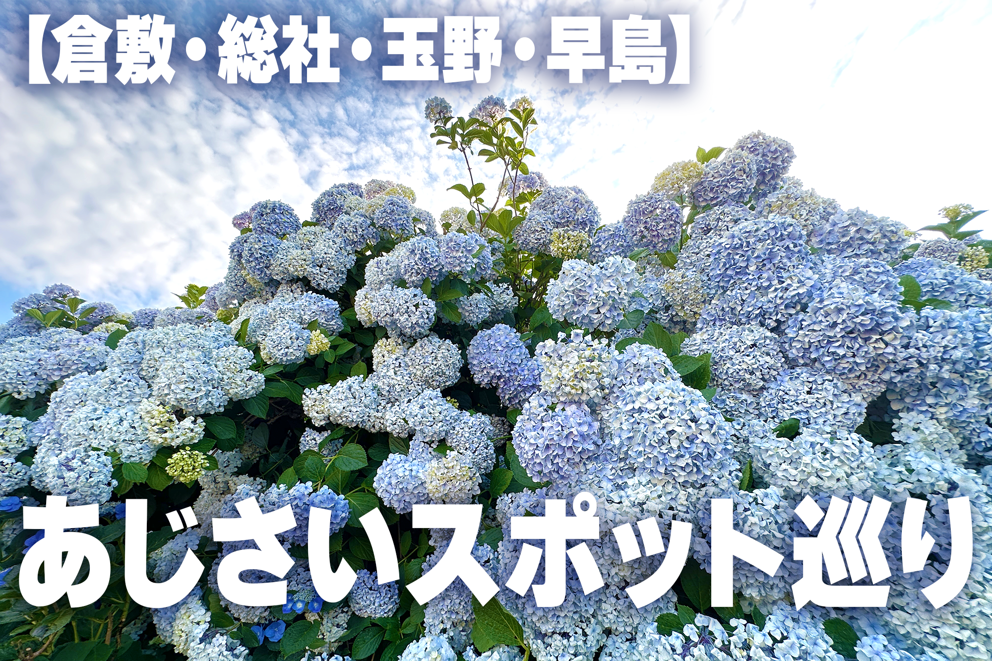 サムネa-復元-復元.png