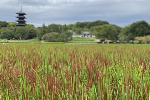 岡山県の住み続けたい街ランキング2022　紹介記事バナー画像