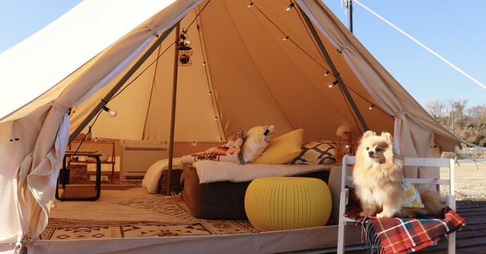 「OKAYAMA GLAMPING SORANIA（おかやまグランピングソラニア）」のグランピング施設を満喫する犬の写真