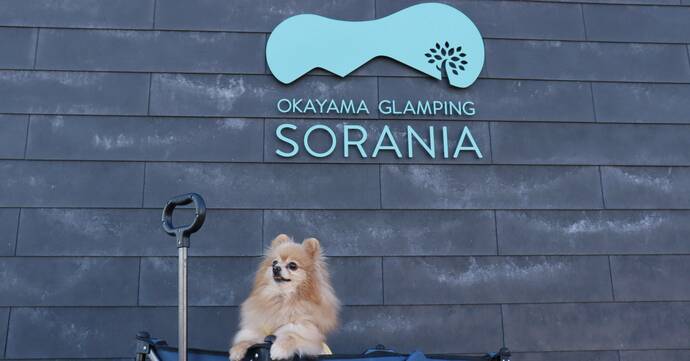 「OKAYAMA GLAMPING SORANIA（おかやまグランピングソラニア）」のロゴと映る犬の写真