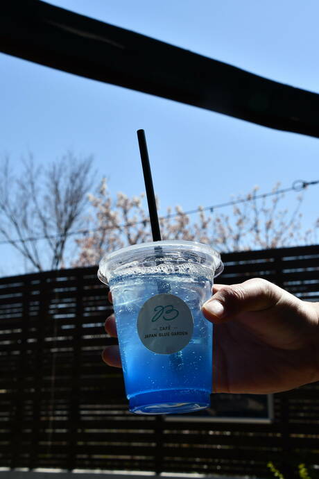 CAFÉ JAPAN BLUE GARDENで販売している「青い、ラムネード」の写真