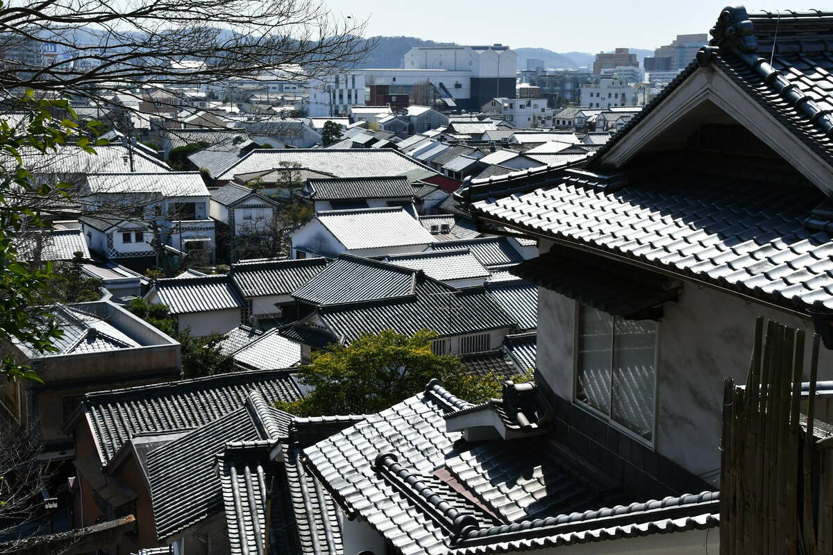 境内から眺める美観地区の写真
