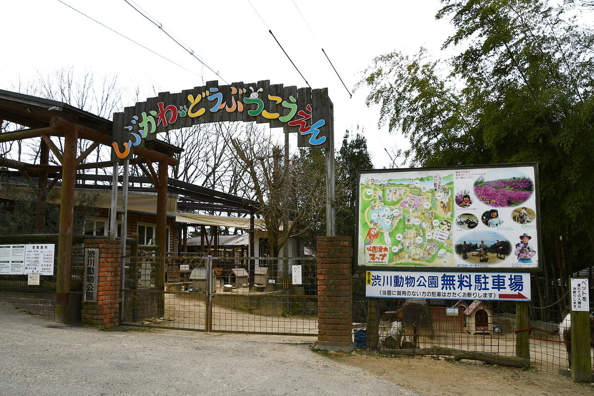 「渋川動物公園」の入り口の写真 その2