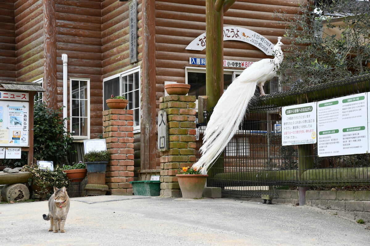 「渋川動物公園」の入り口の写真 その2