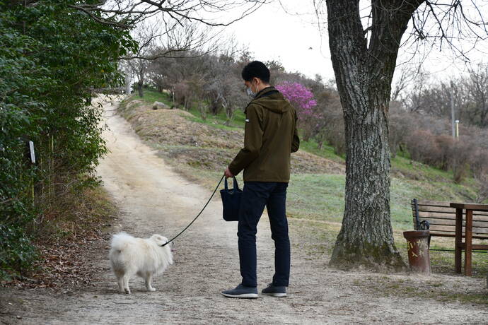 園内を犬と散歩している写真