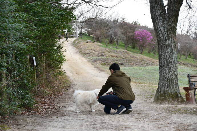 園内を犬と散歩している写真