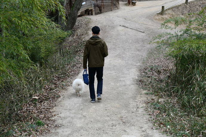 園内を犬と散歩している写真