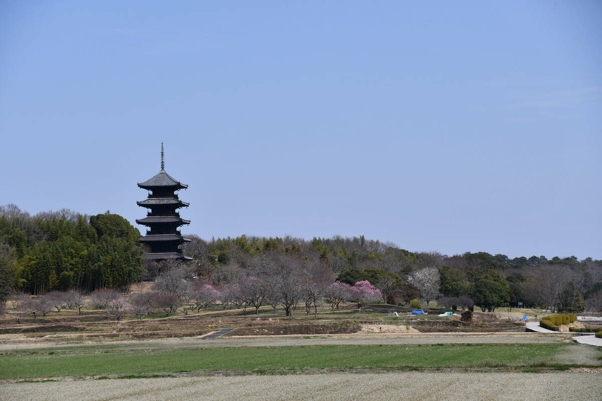 備中国分寺の風景写真