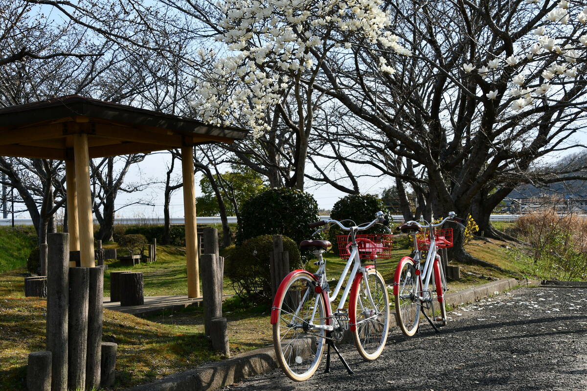 吉備路サイクリング中の風景写真