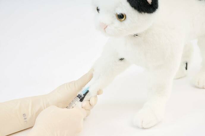 猫型採血シミュレーター「ねこにゃん」の採決イメージ画像　その２