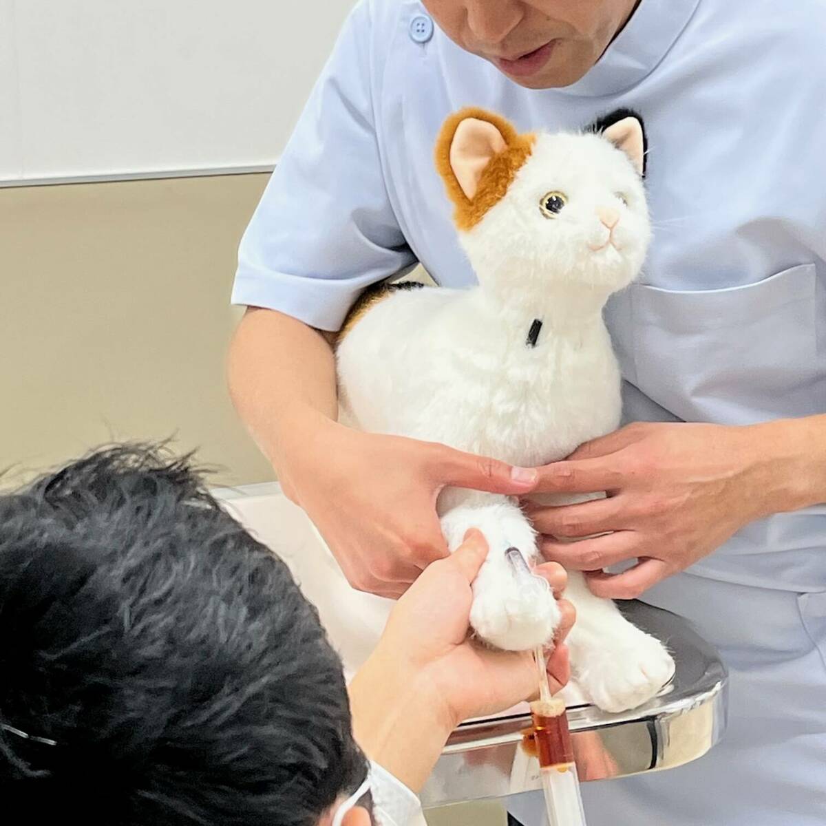猫型採血シミュレーター「ねこにゃん」の採決イメージ画像 その3