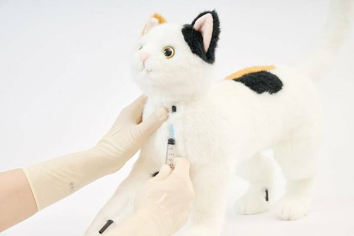 猫型採血シミュレーター「ねこにゃん」の採決イメージ画像　その１