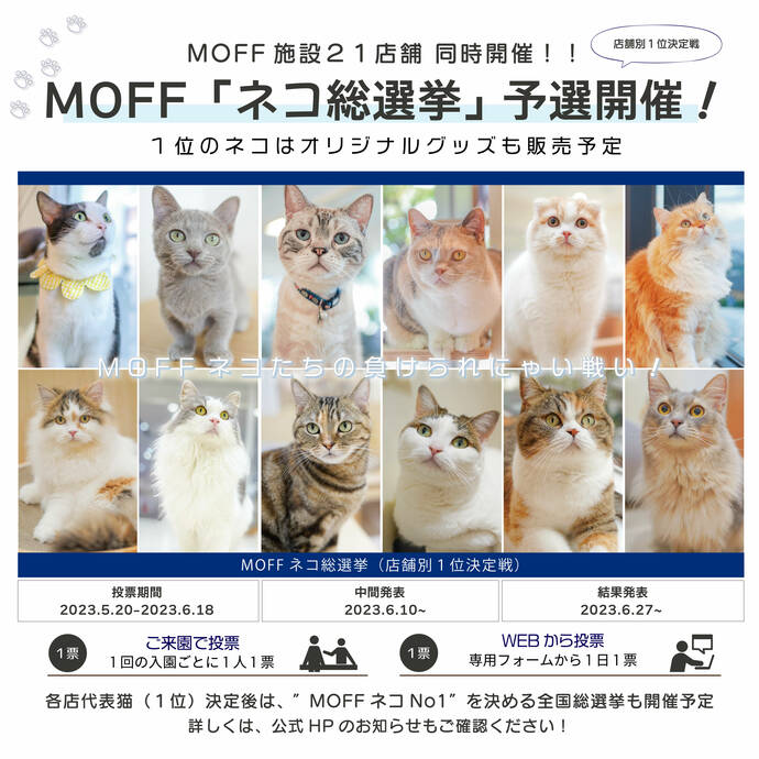 「MOFFネコ総選挙」宣材画像