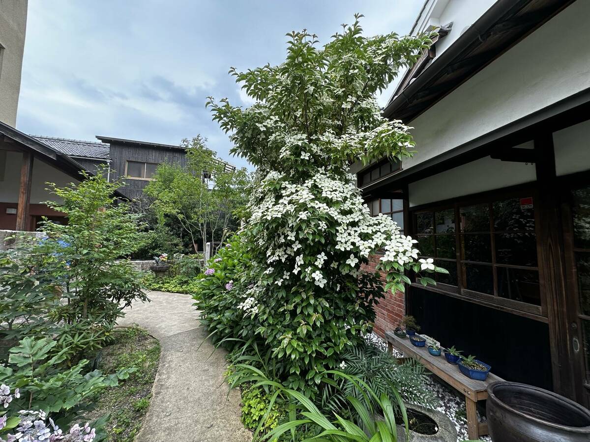林源十郎商店の外観写真 その3