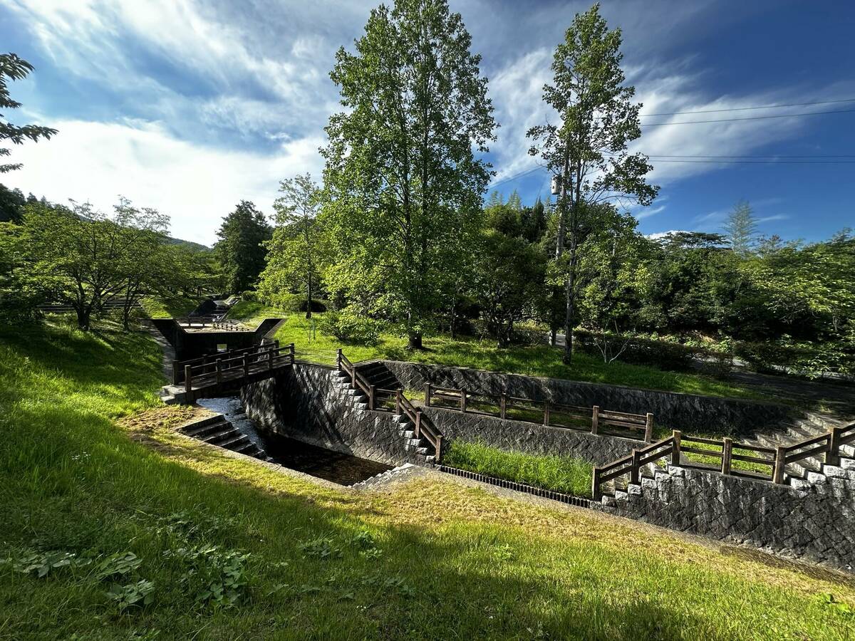 総社北公園内の水辺の写真 その1