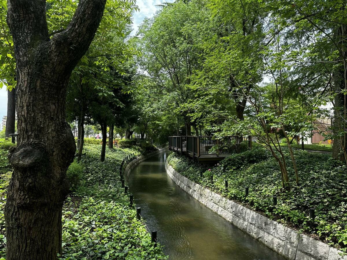倉敷みらい公園の園内水路の写真 その1