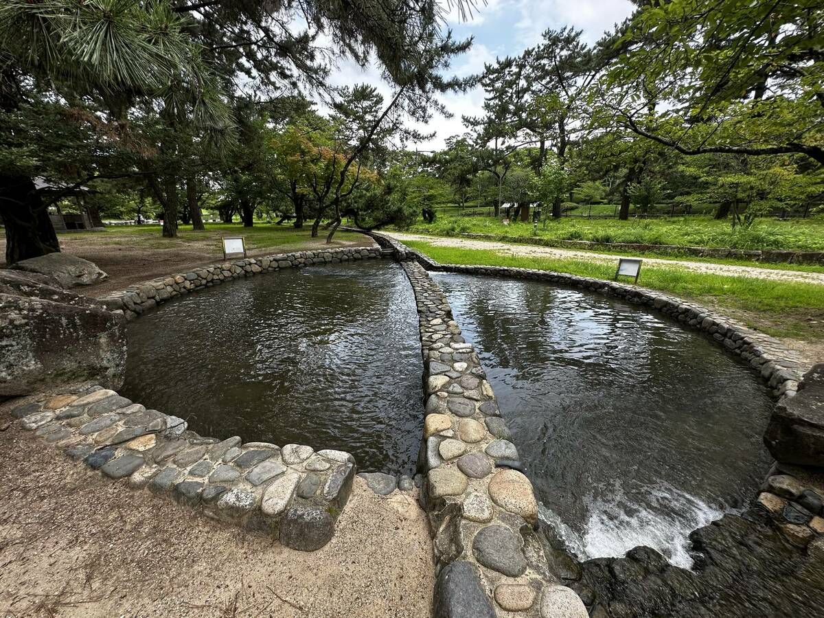 酒津公園内の水辺の写真 その4
