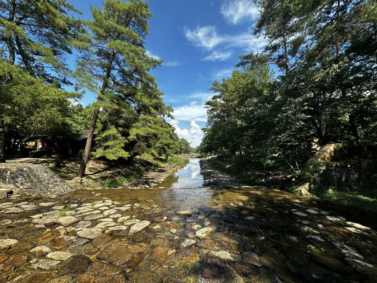 砂川公園内の水辺の風景写真 その1