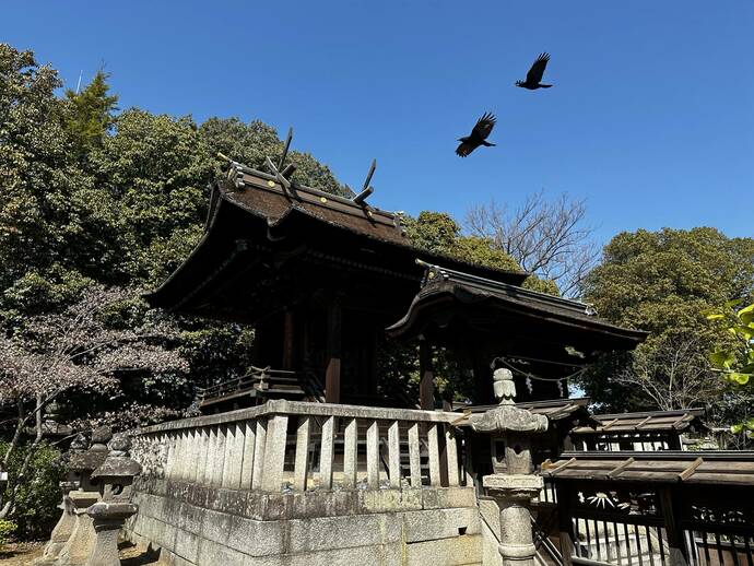 阿智神社の外観写真