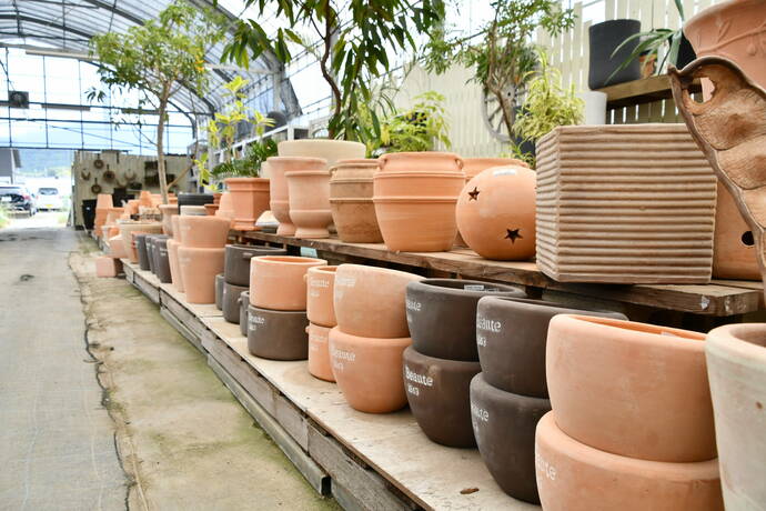並んだ鉢と植物