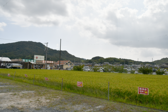 周りの田園風景