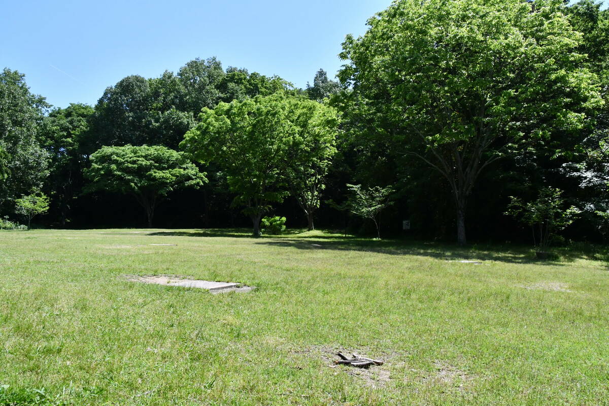 芝生の広場