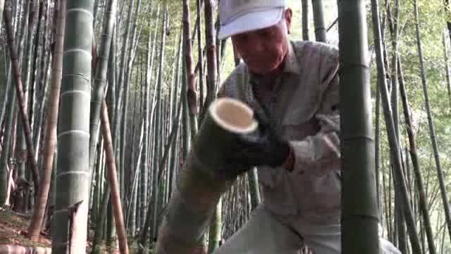 竹水の採取方法の報道画像