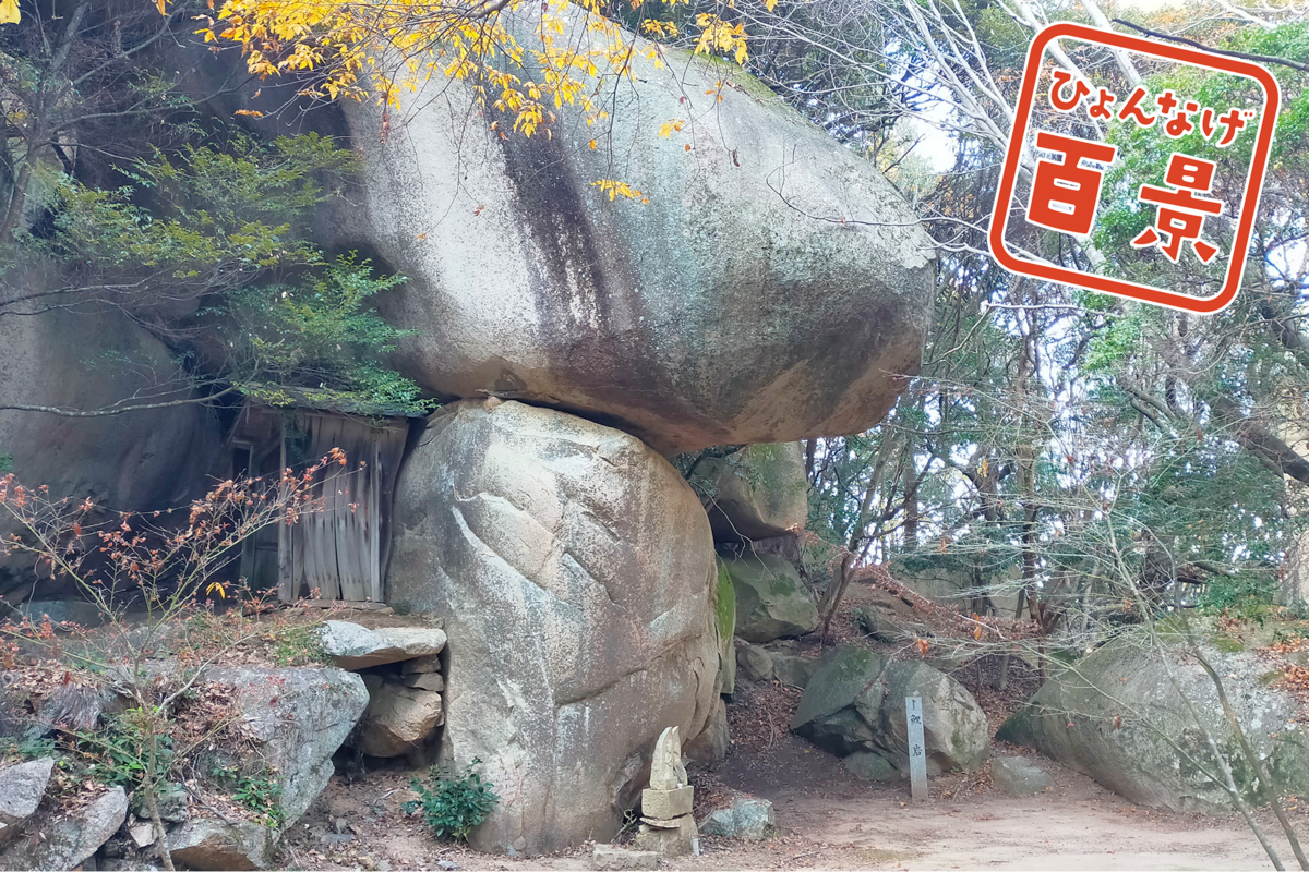 hg00008a-thumb-1200xauto-9718.png