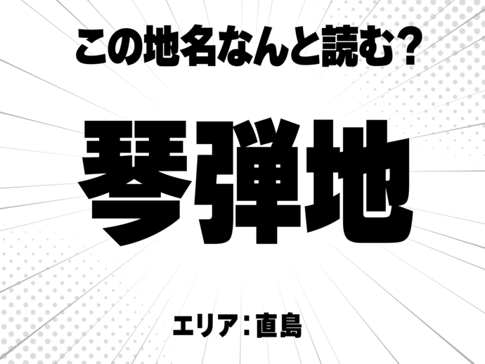 琴に弾に地で何と読む？