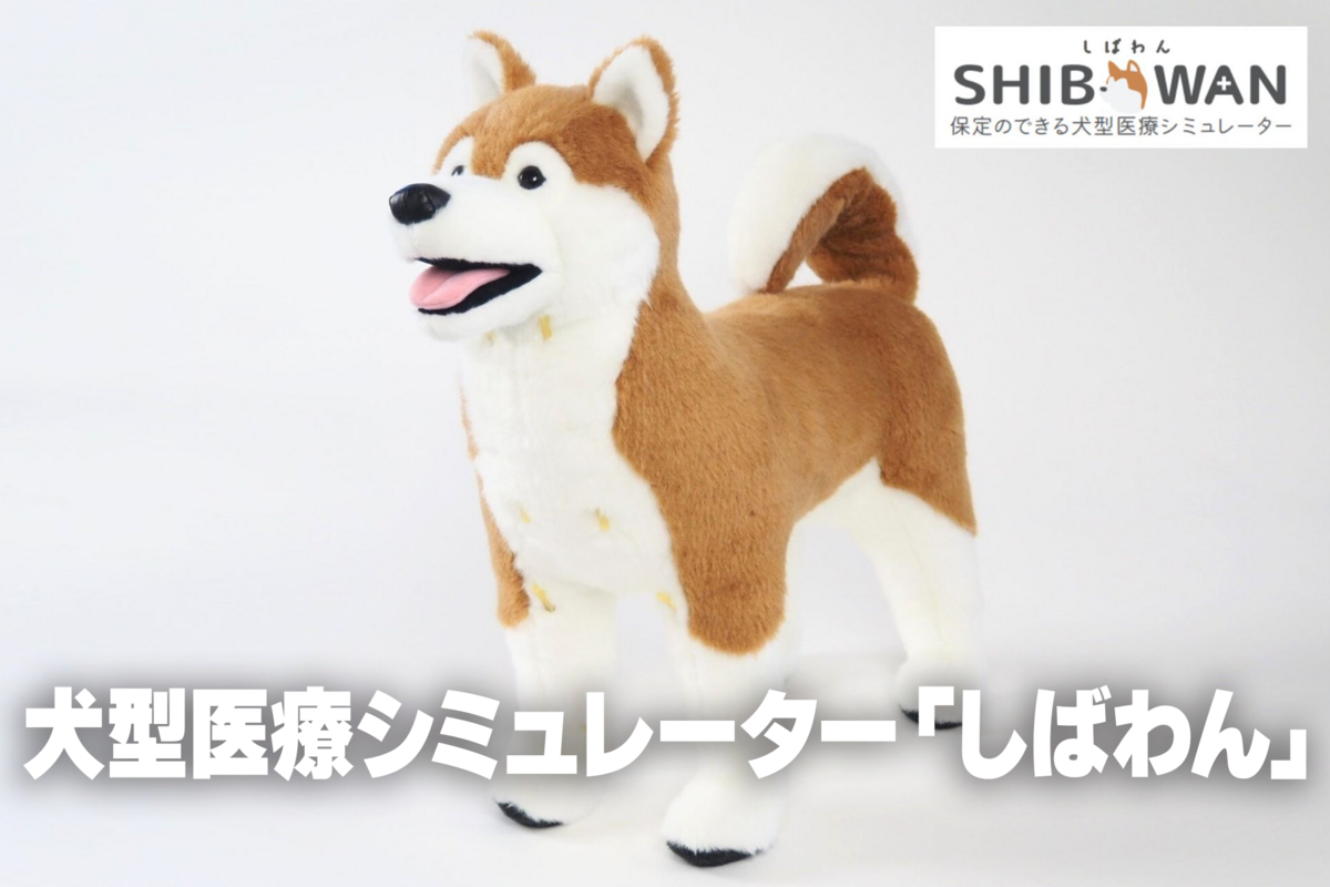 アニフル　保定のできる犬型医療シミュレーター「しばわん」 保定のできる犬型医療シミュレーター しばわん ＜2025年5月新