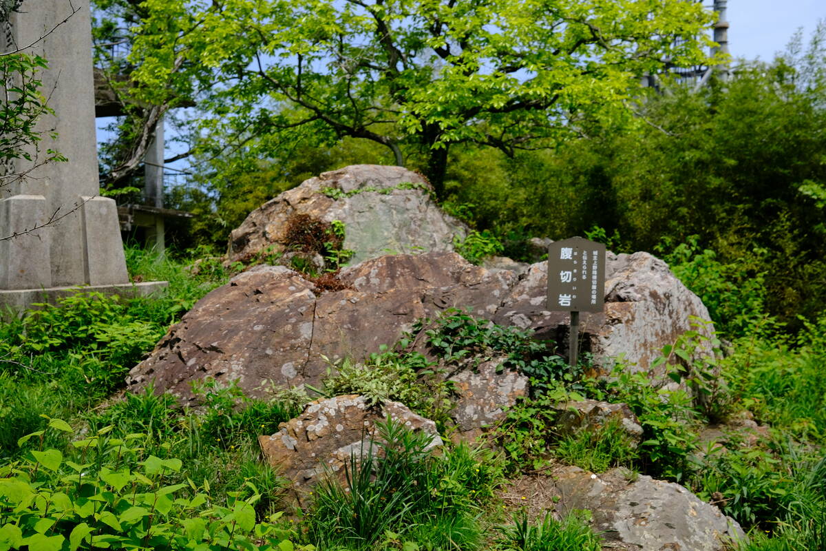 腹切岩