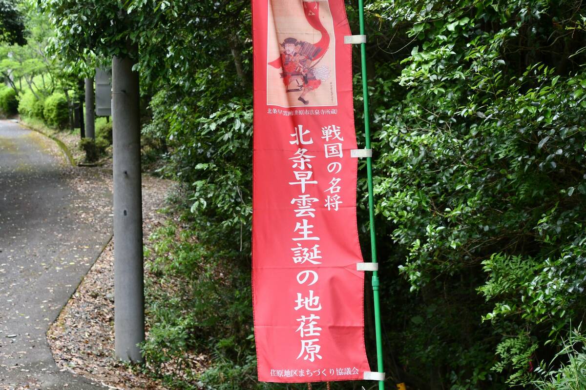 旗