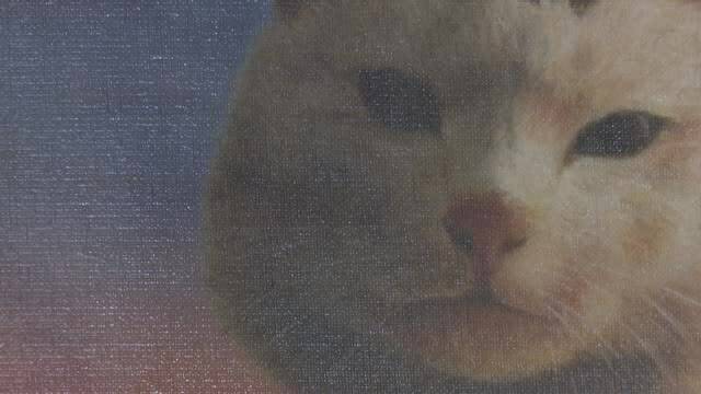 放送バナー画像