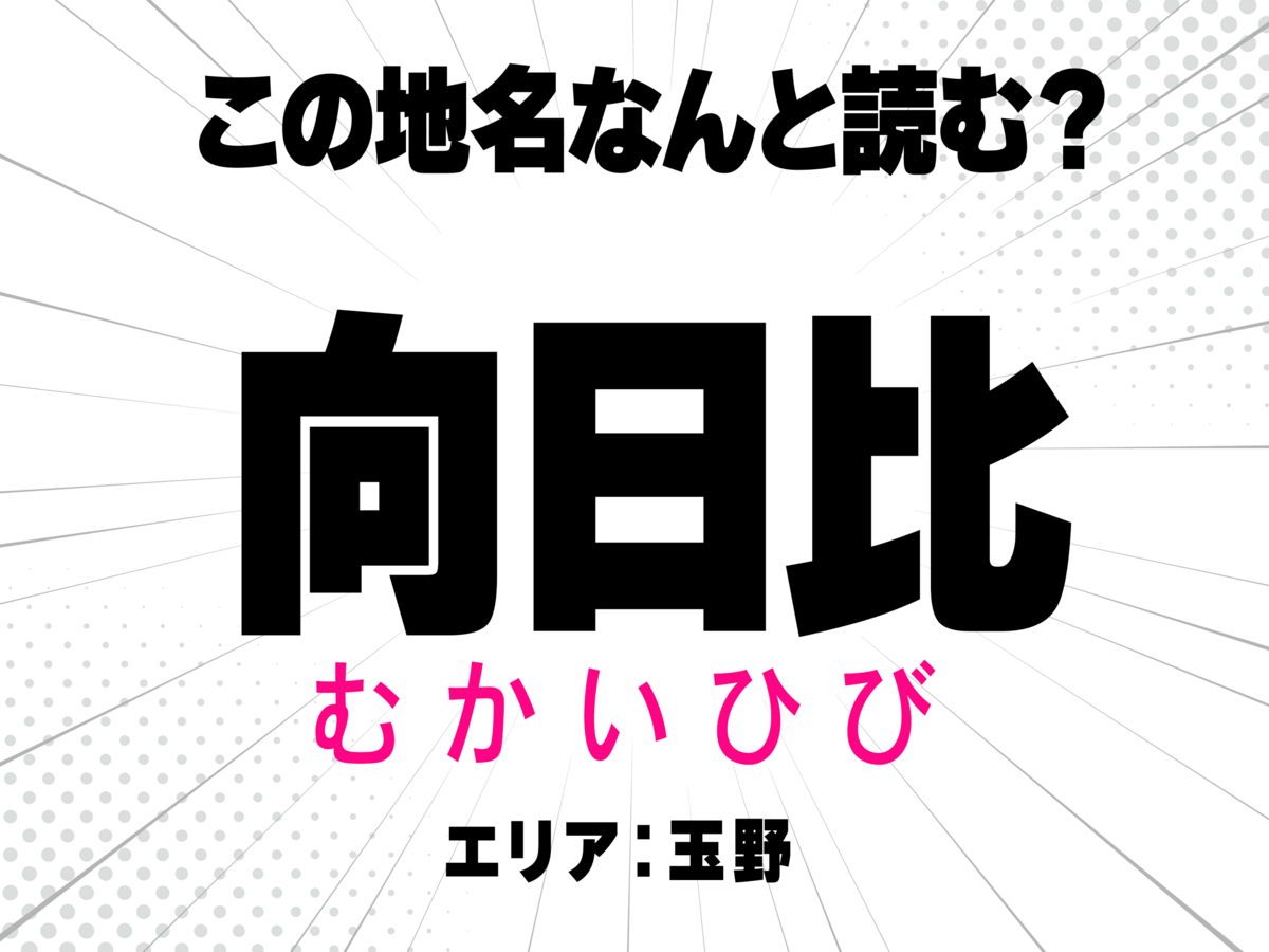 むかいひび