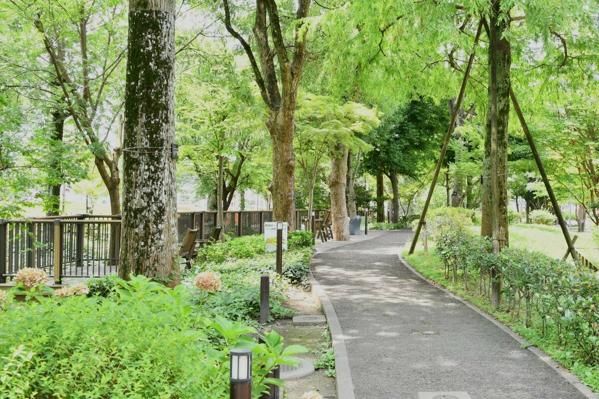 倉敷みらい公園②