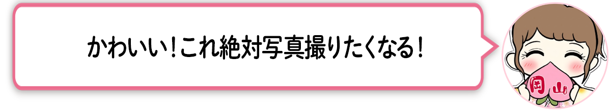 ま「かわいい！これ絶対写真撮りたくなる！」